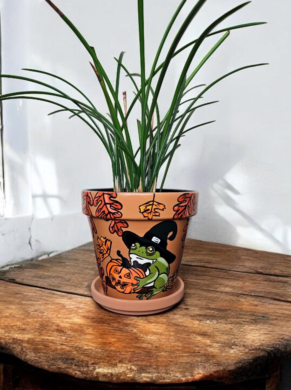 Hand-Painted Halloween Frog Planter, Witch Costume, Autumn Decor