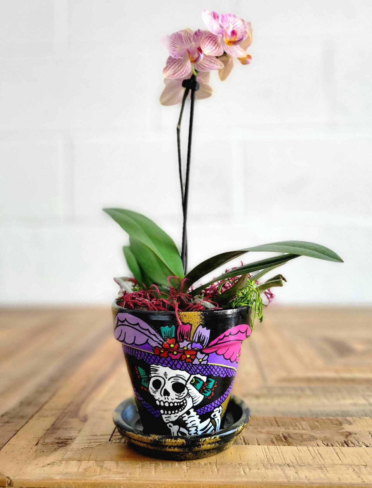 Hand-Painted Catrina Terracotta Planter – Día de los Muertos Decor