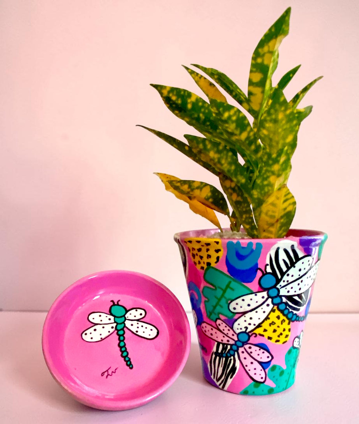 Hand Painted Pink and Purple Dragonfly Planter