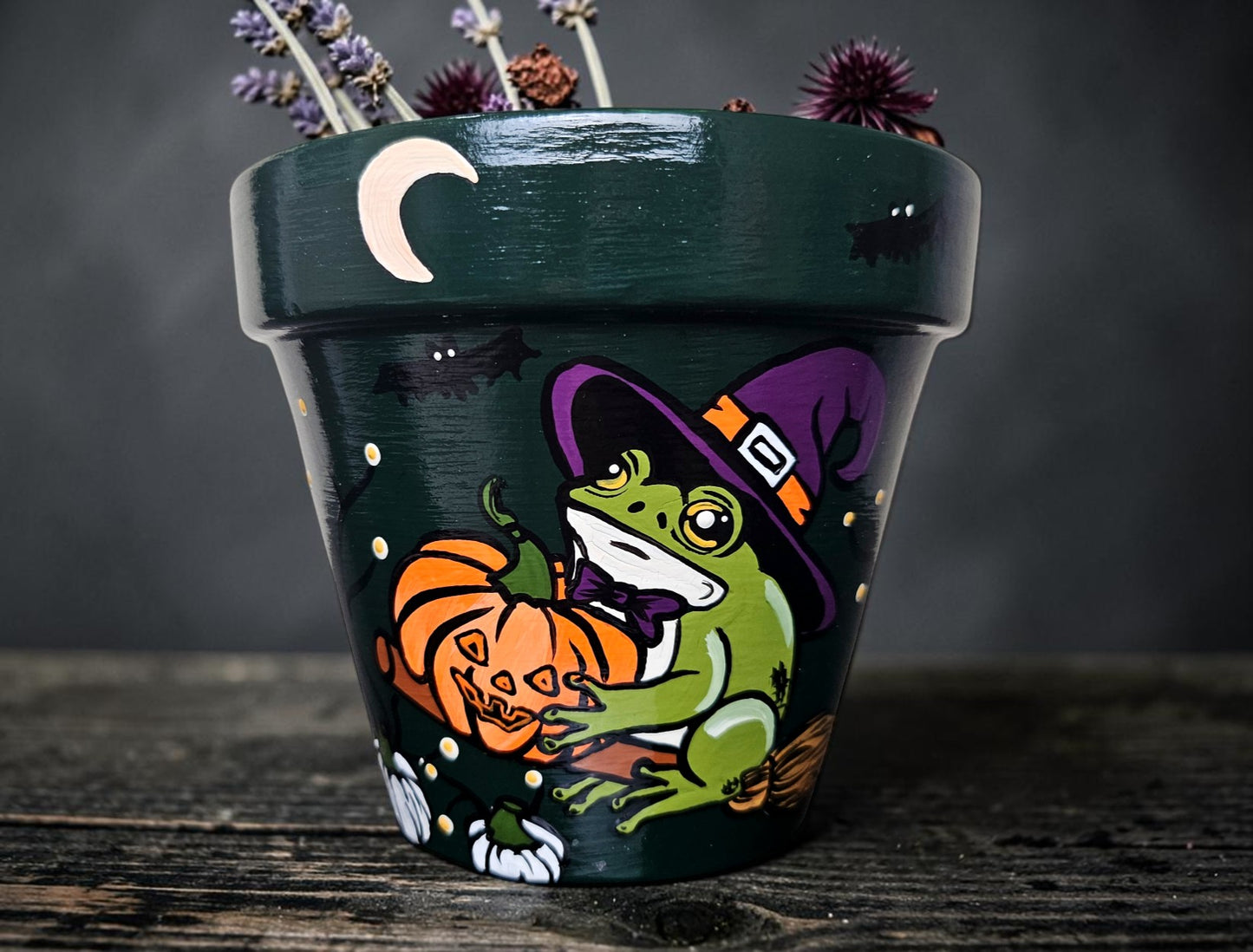 Witch Frog Plant Pot: Hand-Painted Terracotta Halloween Planter