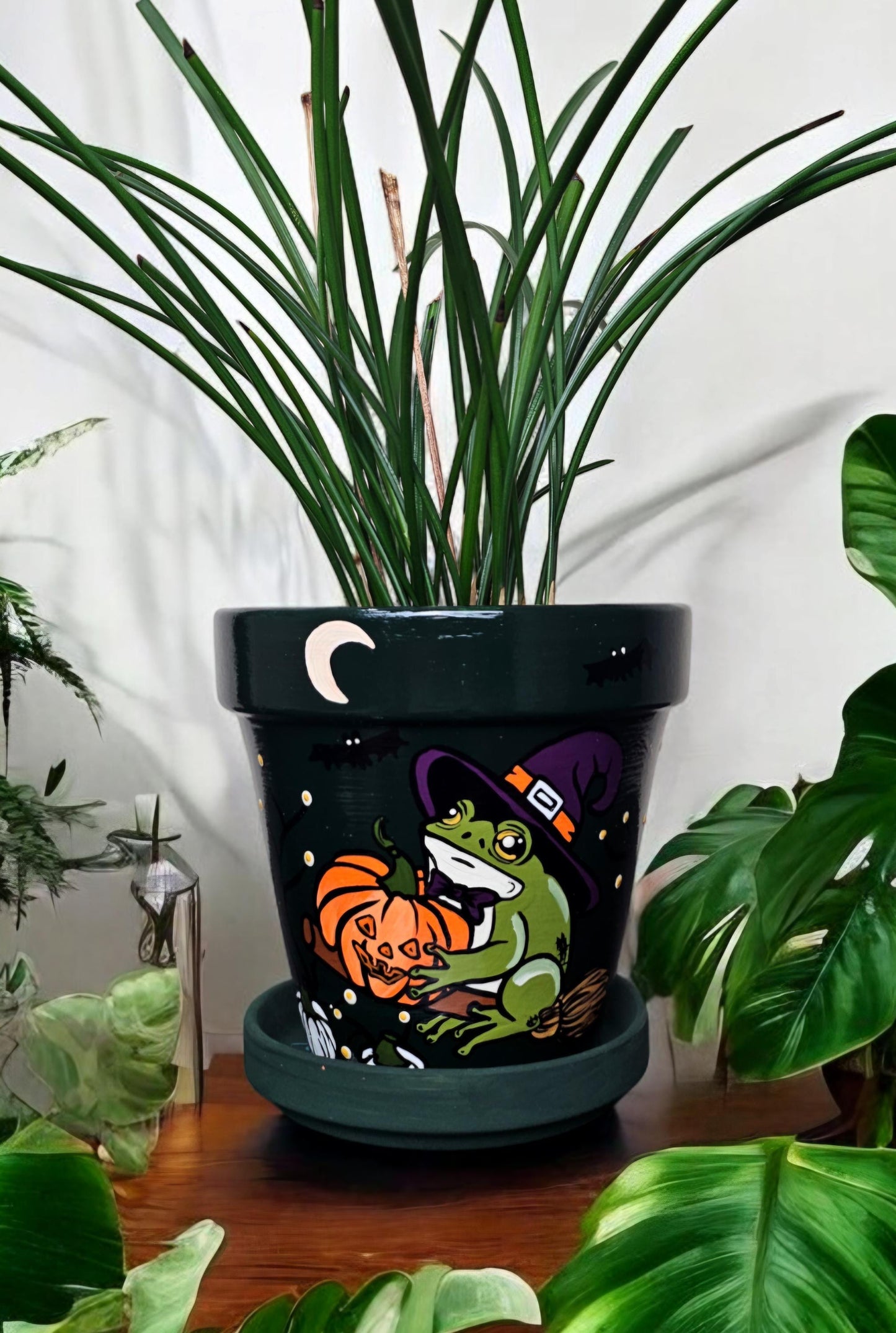 Witch Frog Plant Pot: Hand-Painted Terracotta Halloween Planter